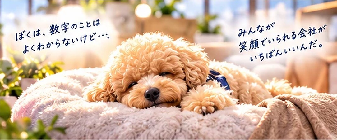 ふわふわのクッションで眠るラスク君